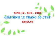 Giải Sinh 12 trang 60 Chân trời Sáng tạo